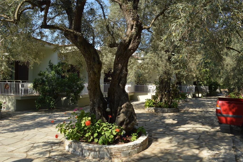 Guesthouse Irene Afissos Exterior photo